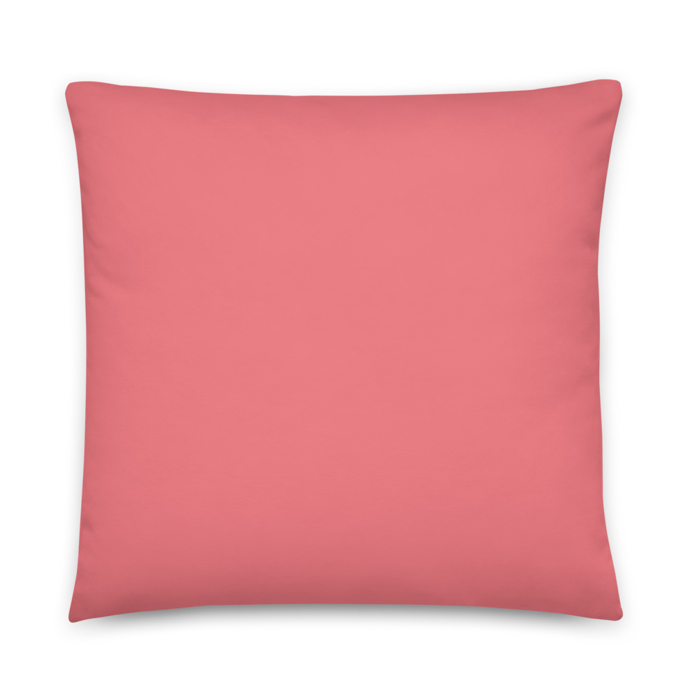 all-over-print-basic-pillow-22x22-5fe259e4a0664.jpg