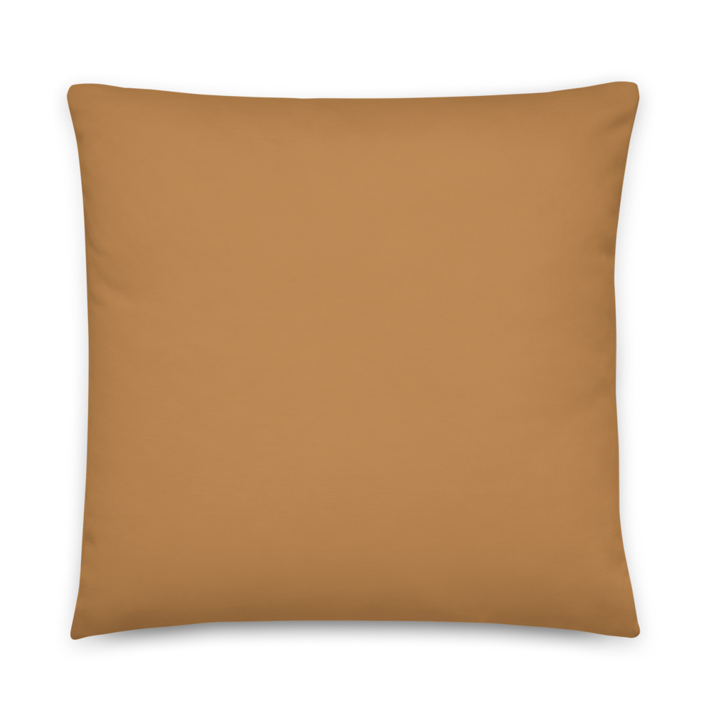 all-over-print-basic-pillow-22x22-5fe25ad726f4a.jpg